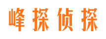 大悟市私家侦探